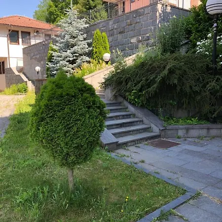 View * フォイニツァ